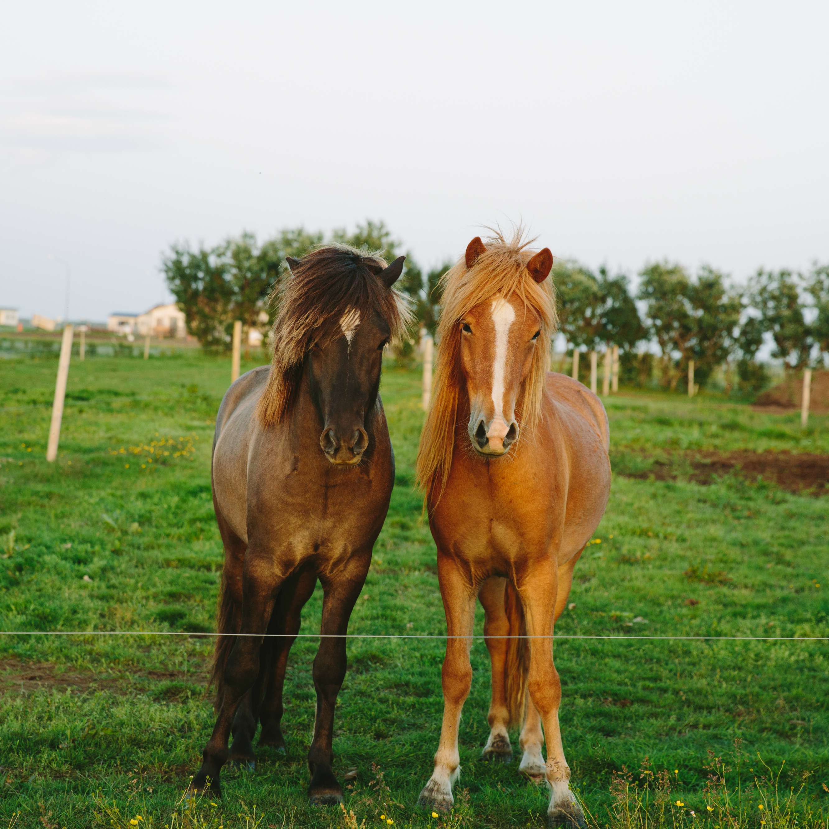 Behind-The-Scenes: Aerie Goes To Iceland