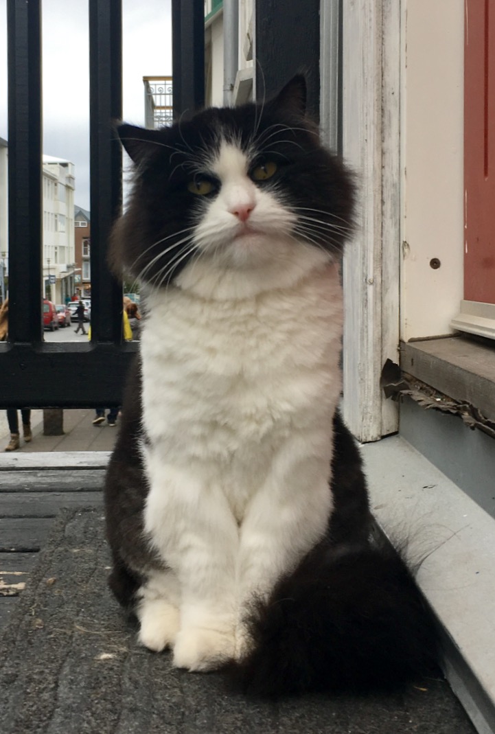 Behind-The-Scenes: Aerie Goes To Iceland