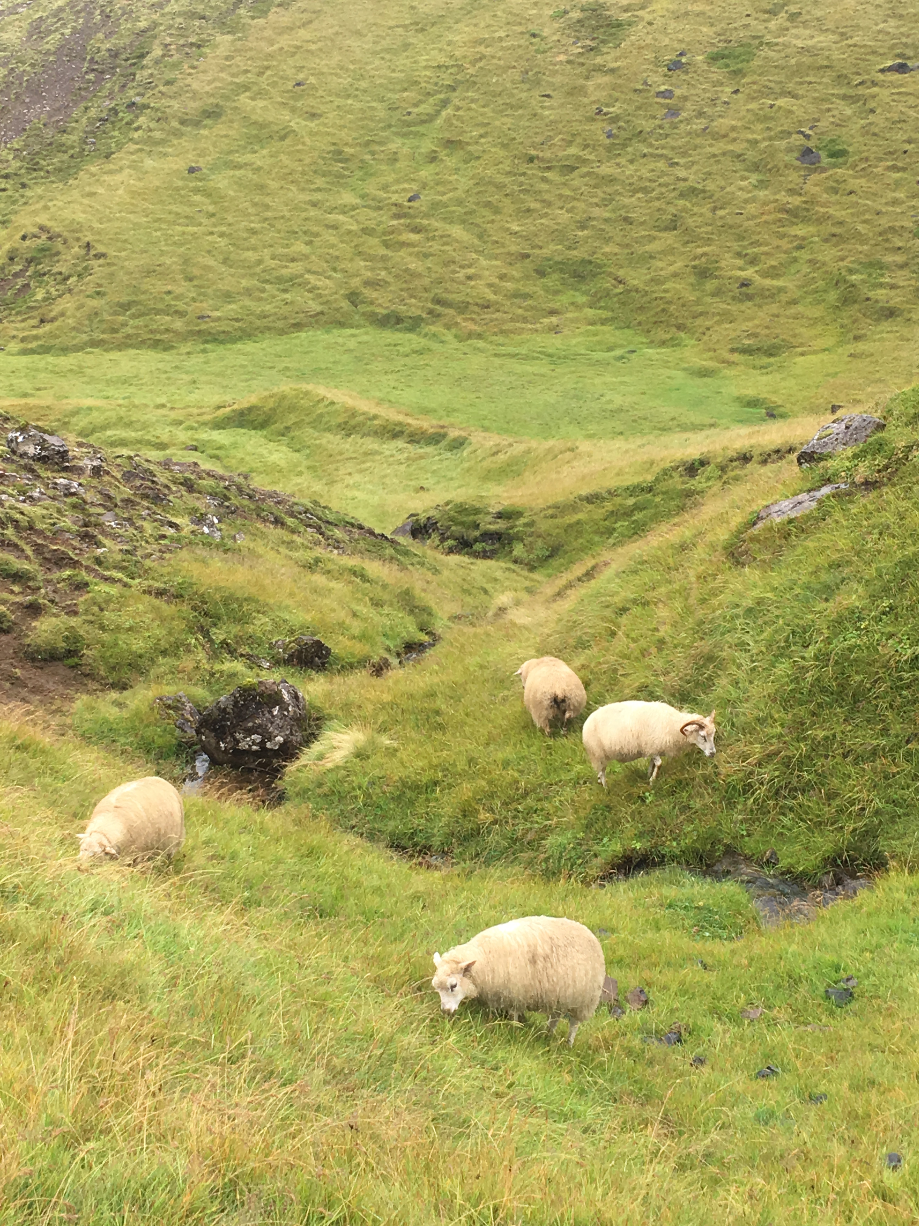 Behind-The-Scenes: Aerie Goes To Iceland