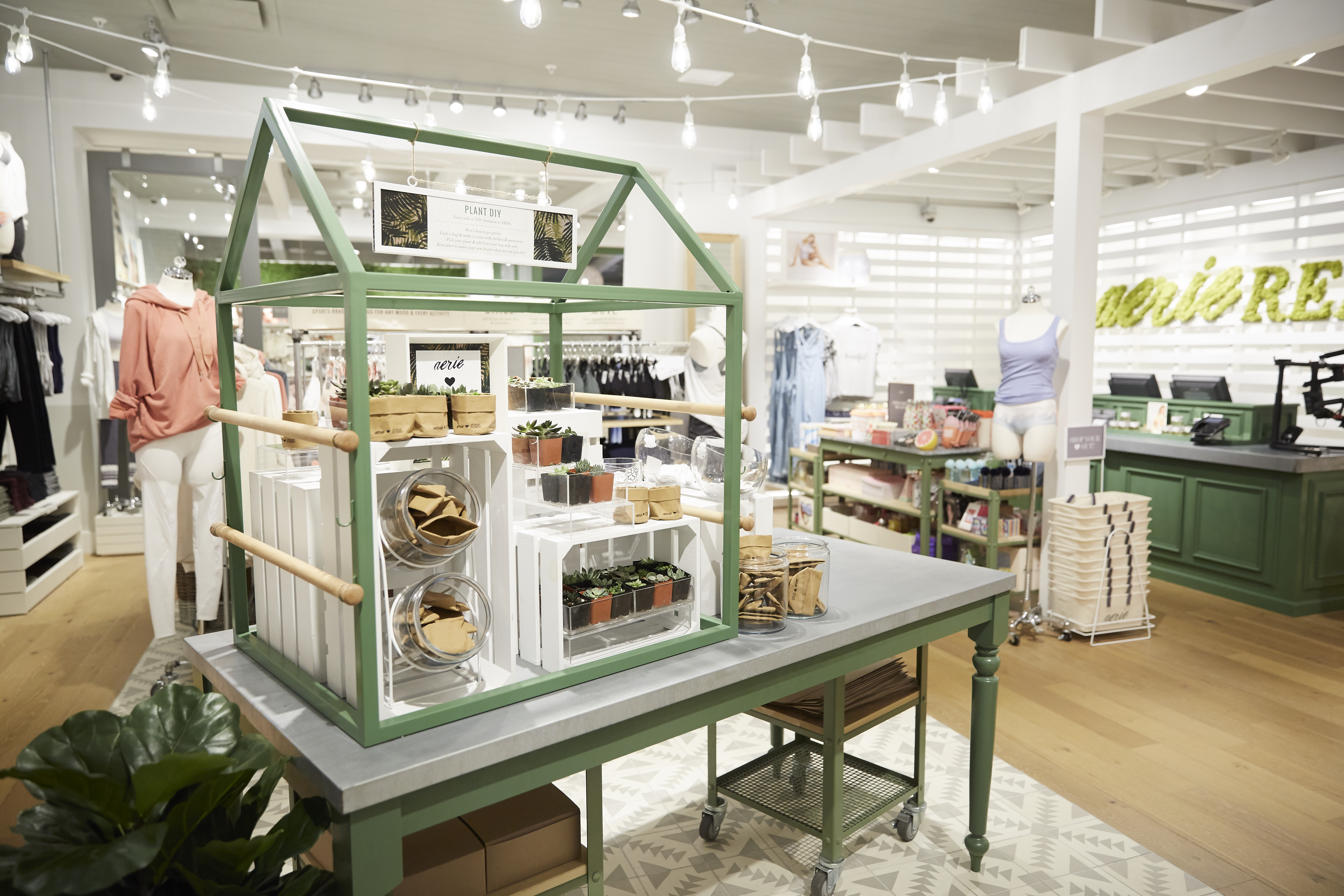 Introducing... An All-New Aerie Store Design!