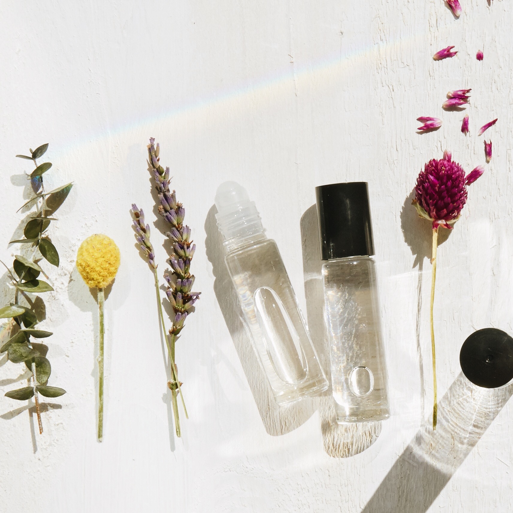 #AerieREAL Pop-Up Tour