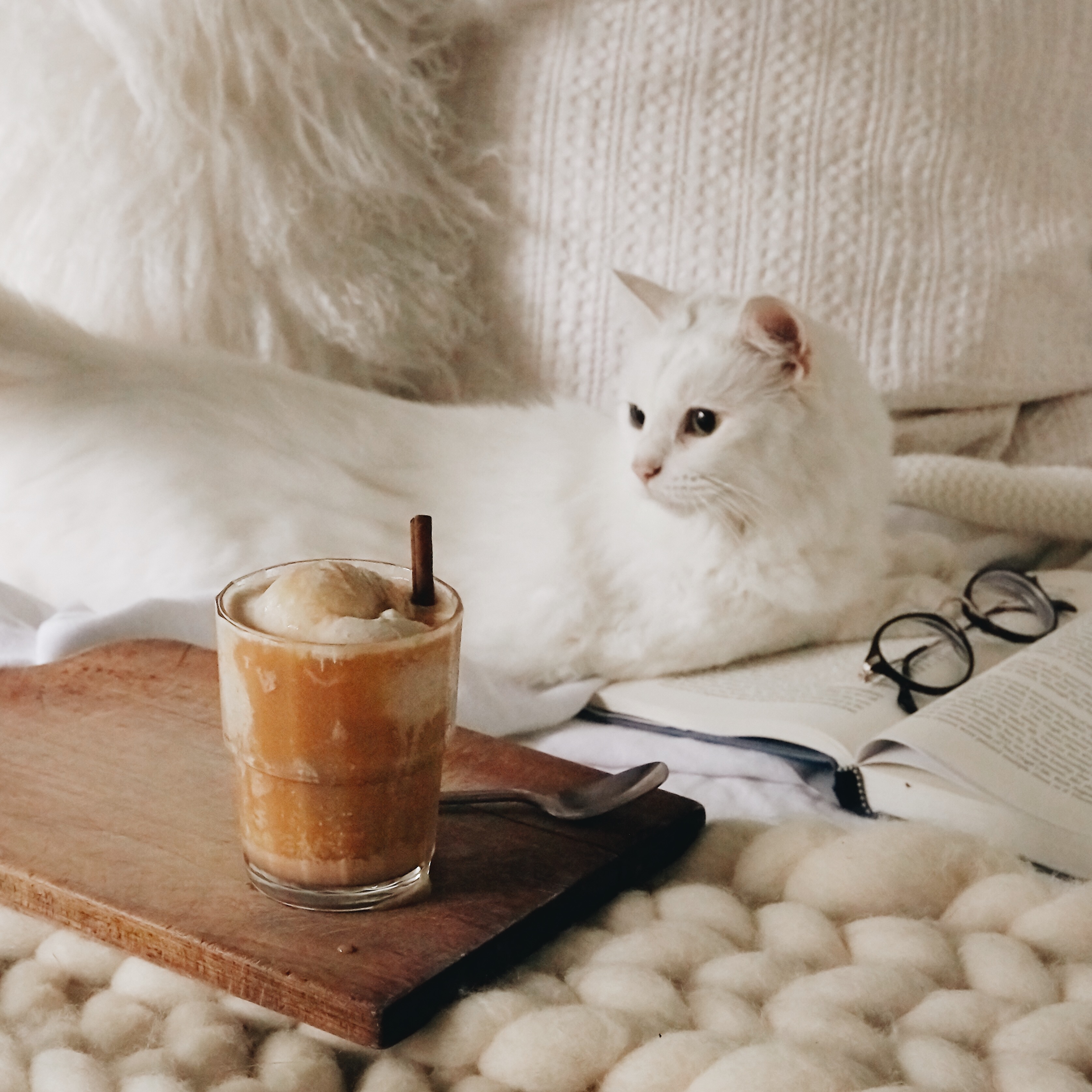 How To: Apple Cider Float