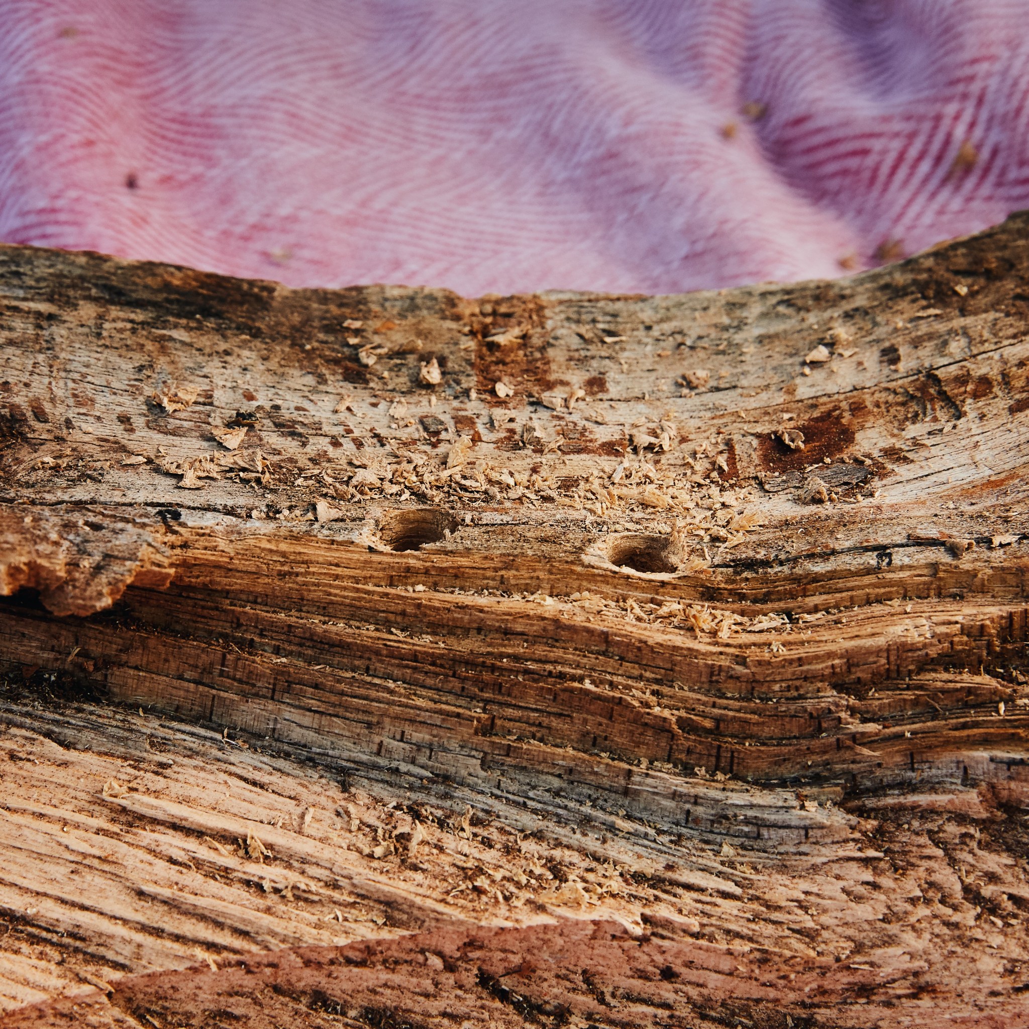 How to: Make your own menorah