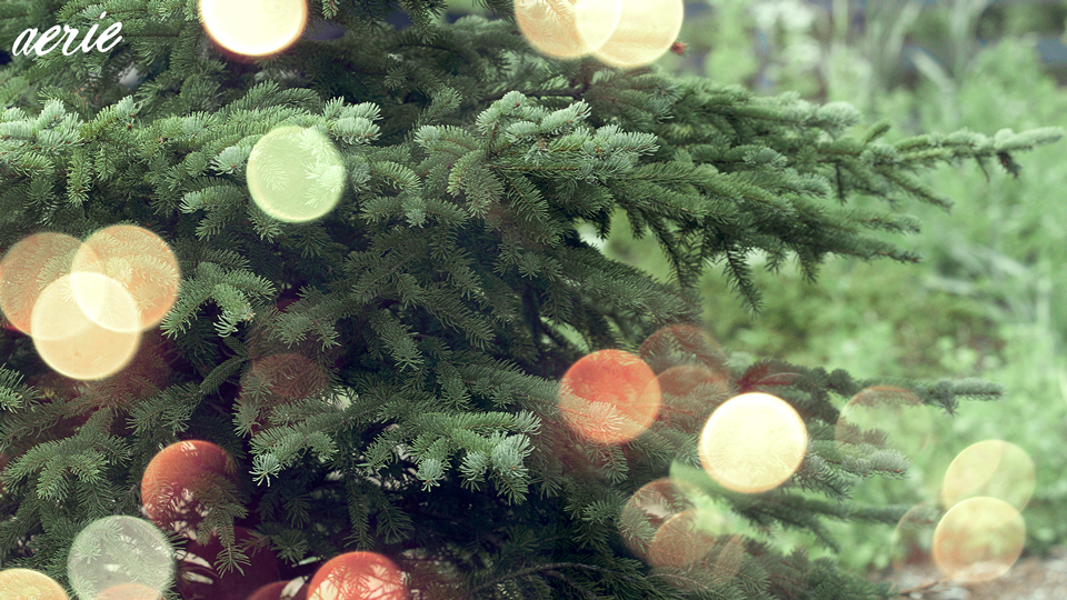 holiday zoom background